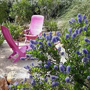 la-colombe.fr-provencehotel.com/
